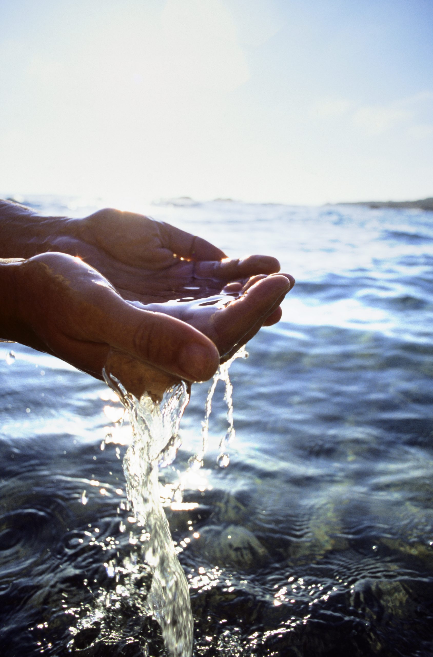 portrait of a pair of hands cupping water 2026 01 11 09 50 41 utc